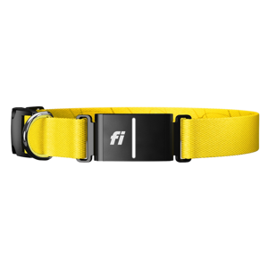 Fi Smart Dog Collar Fi Series 3+