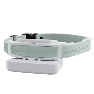Invisible Fence GPS Collar