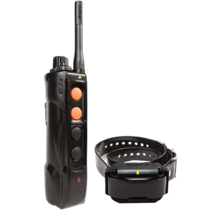 Dogtra Edge RT