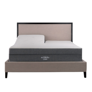 Airpedic 1000