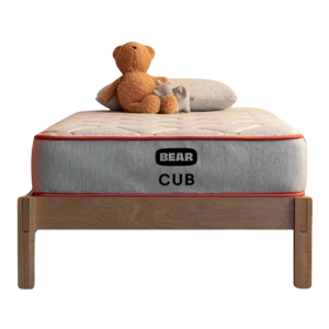 Bear Cub