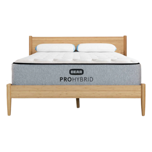 Bear Pro Hybrid
