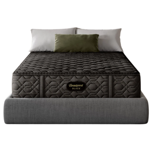 Beautyrest Black