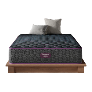 Beautyrest World Class