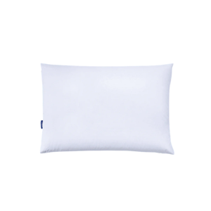 Casper Down Pillow