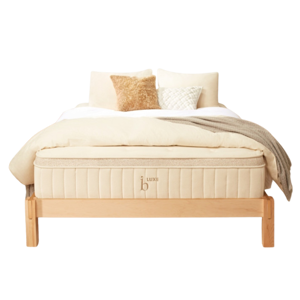 Helix Birch Luxe