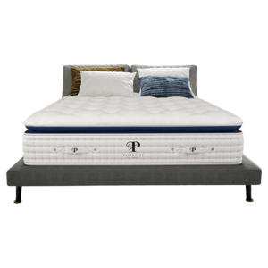 PlushBeds Arctic Bliss