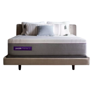 Purple Hybrid Premier 3