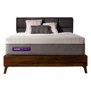 Purple Hybrid Premier 4