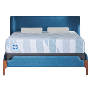 Sealy Dreamlife Memory Foam