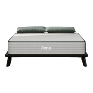 Siena Premier Hybrid