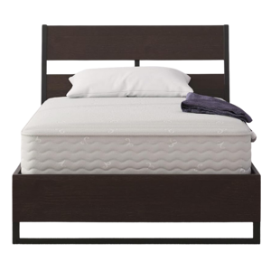 Signature Sleep Contour