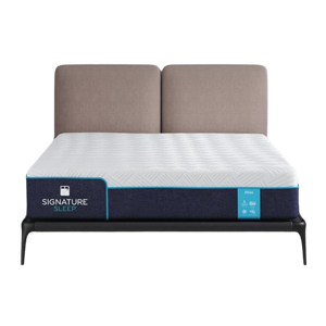 Signature Sleep Flex
