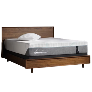 Tempur-Pedic Adapt