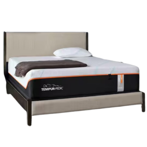 Tempur-Pedic ProAdapt
