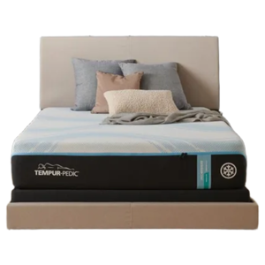 Tempur-Pedic ProBreeze