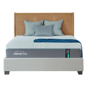 Tempur-Pedic Supreme