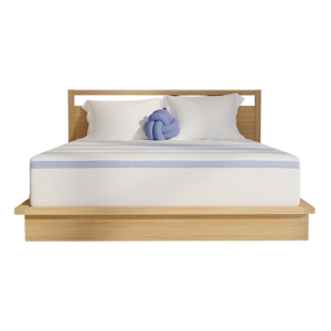 Vibe Gel Memory Foam