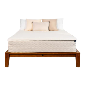 WinkBeds EcoCloud