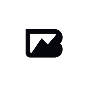 Braven Speakers