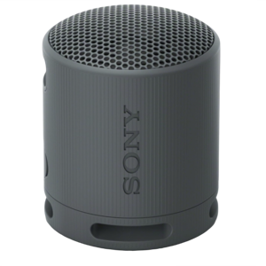 Sony XB100