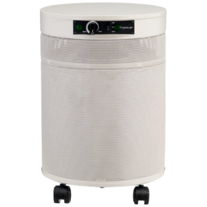 Airpura P600
