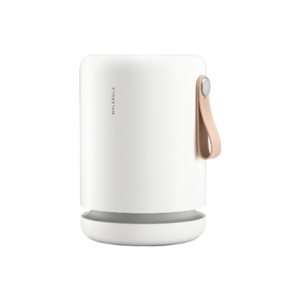 Molekule Air Mini+
