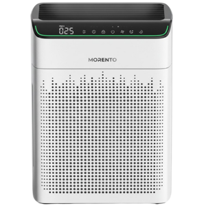 Morento MR5866