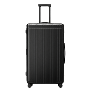 Carl Friedrik Hybrid Trunk
