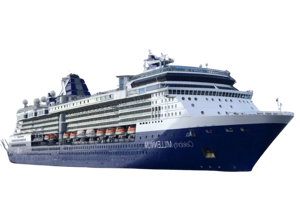 Celebrity Millennium