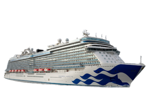 Discovery Princess