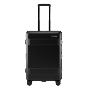 Pelican ATX Check-In