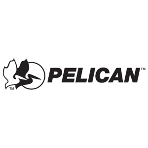 Pelican