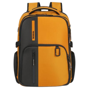 Samsonite BIZ2GO