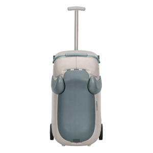 Samsonite Dream Rider Deluxe