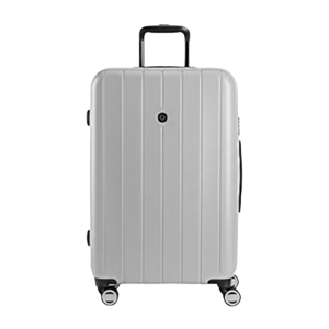 SwissGear Wanderlust Pro