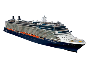 Celebrity Reflection