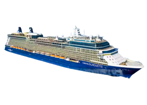 Celebrity Silhouette