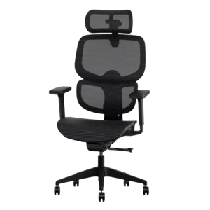 FlexiSpot C7