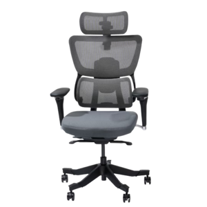 FlexiSpot C7 Max