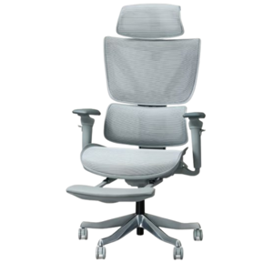 Flexispot C7 Pro Max