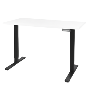 FlexiSpot E1