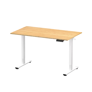 FlexiSpot E2