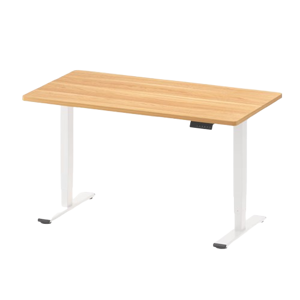 FlexiSpot E5