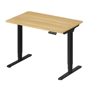 Flexispot E6 Essential