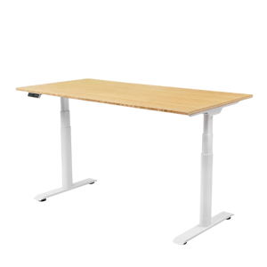 FlexiSpot E8