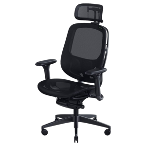 Razer Fujin Pro