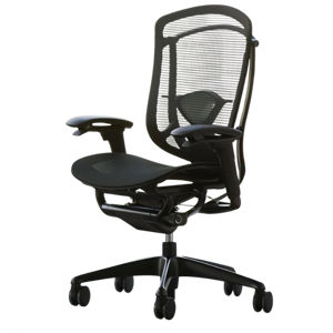 Teknion Nuova Contessa