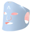 Aduro LED Face Mask
