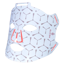 Elvish Beauty Mask
